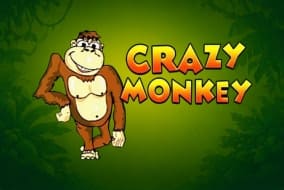 Crazy Monkey