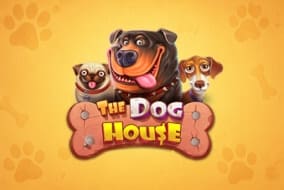 The Dog House